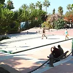 Delfin * Nerja