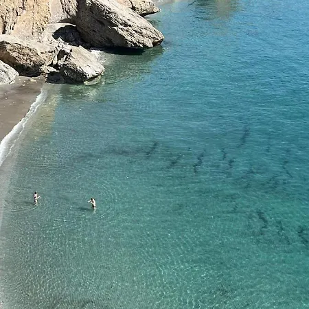 Delfin Lejlighed