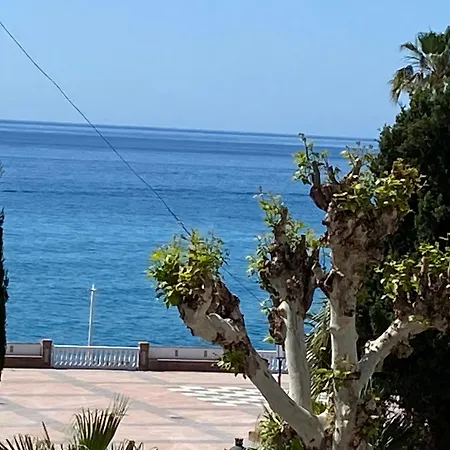 Apartment Delfin