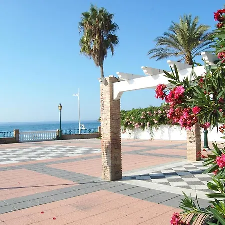 Delfin Апартаменты *